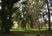 chacra 40 b_7037
