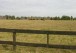 DSCN0232