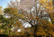 DCIM100MEDIADJI_0431.JPG